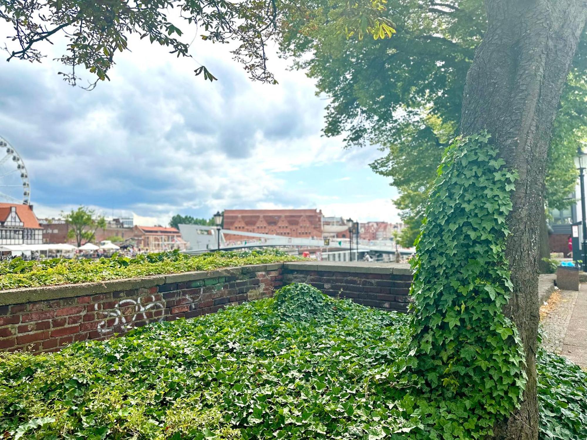 Mmrent Merci Room Gdaňsk Exteriér fotografie